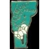 VERMONT PIN VT STATE SHAPE PIN